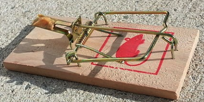 mousetraip